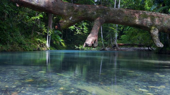 6 Objek Wisata Alam Yang Harus Dilihat Di Kosta Rika